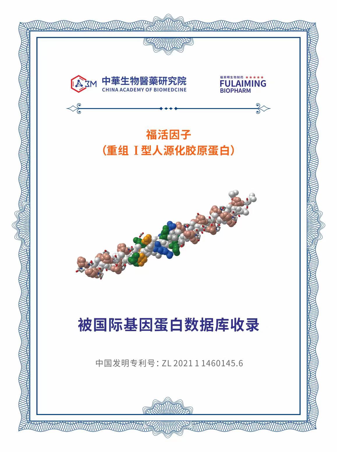 重組I型人源化膠原蛋白（HTFF 福活因數）   ​